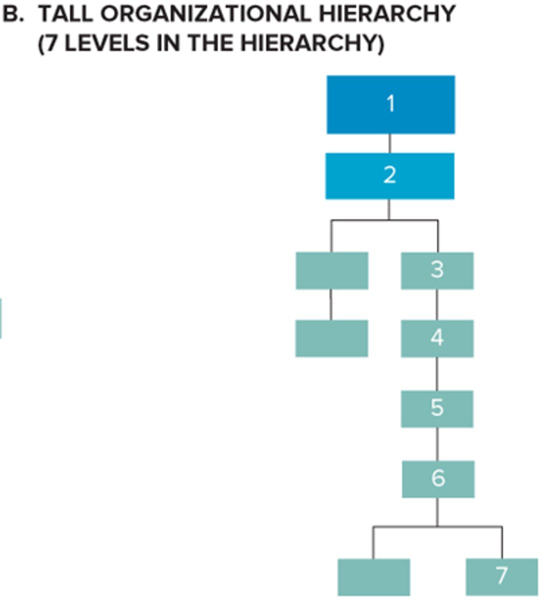 <p>span of management is narrow and therefore has many hierarchical levels; many levels of management</p>