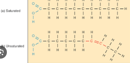 <ul><li><p>Refers to when the structure of the hydrocarbon chains in a fatty acid contains double bonds(altering their typically straight structure), preventing them from packing tight. Most commonly seen in oils</p></li></ul><p></p>