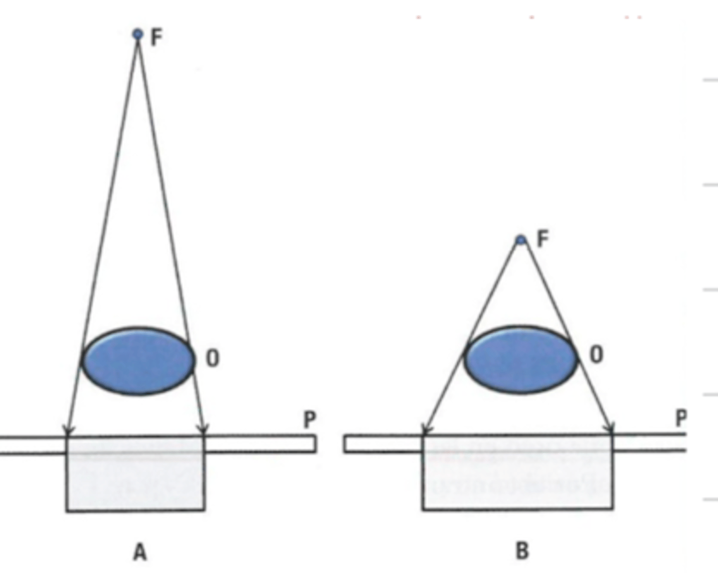 <p>high magnification</p>
