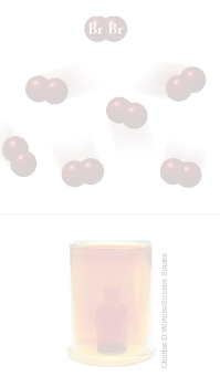 <p>Covalent Bond</p>