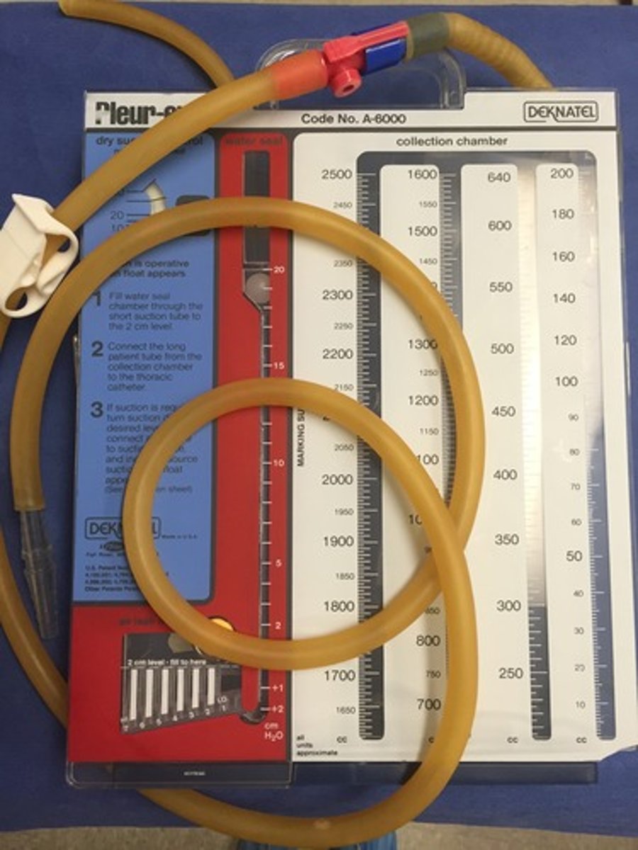 <p>Chest tube attached to a Pleur-evac system</p>