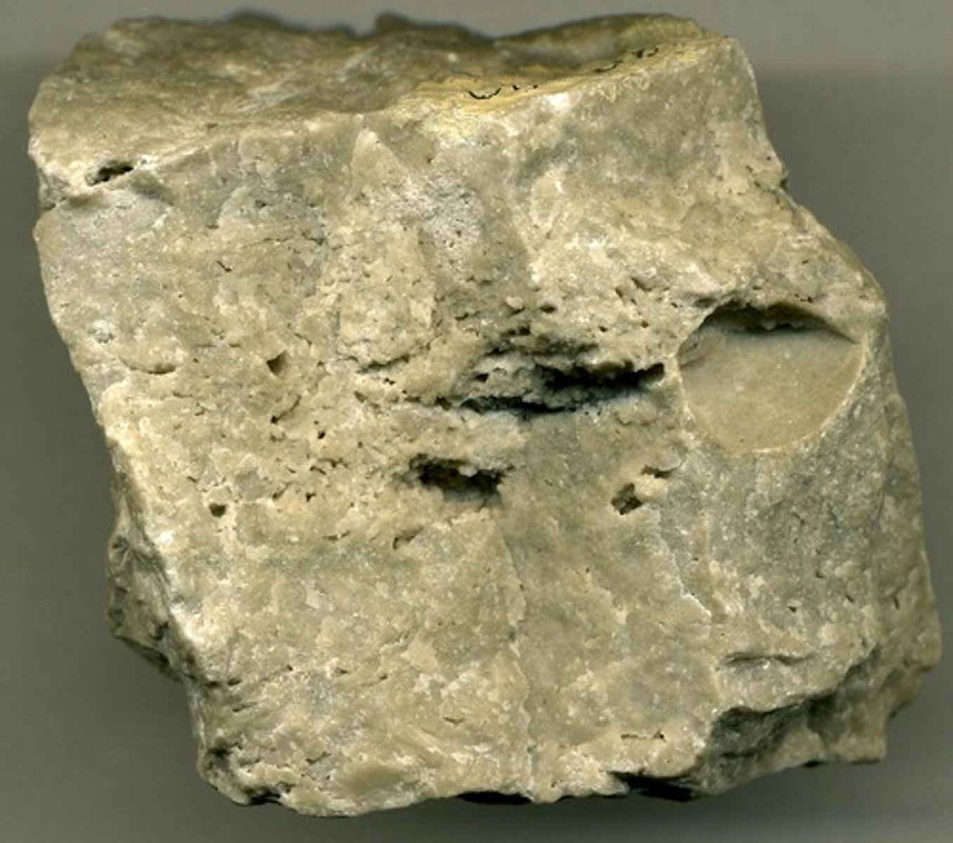 <p>limestone that has been chemically altered by ground water, has more magnesium</p>