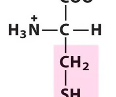 <p>What Amino Acid is This?</p>