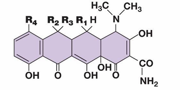 <p>Broad spec, heavily used antibiotics</p><p></p>