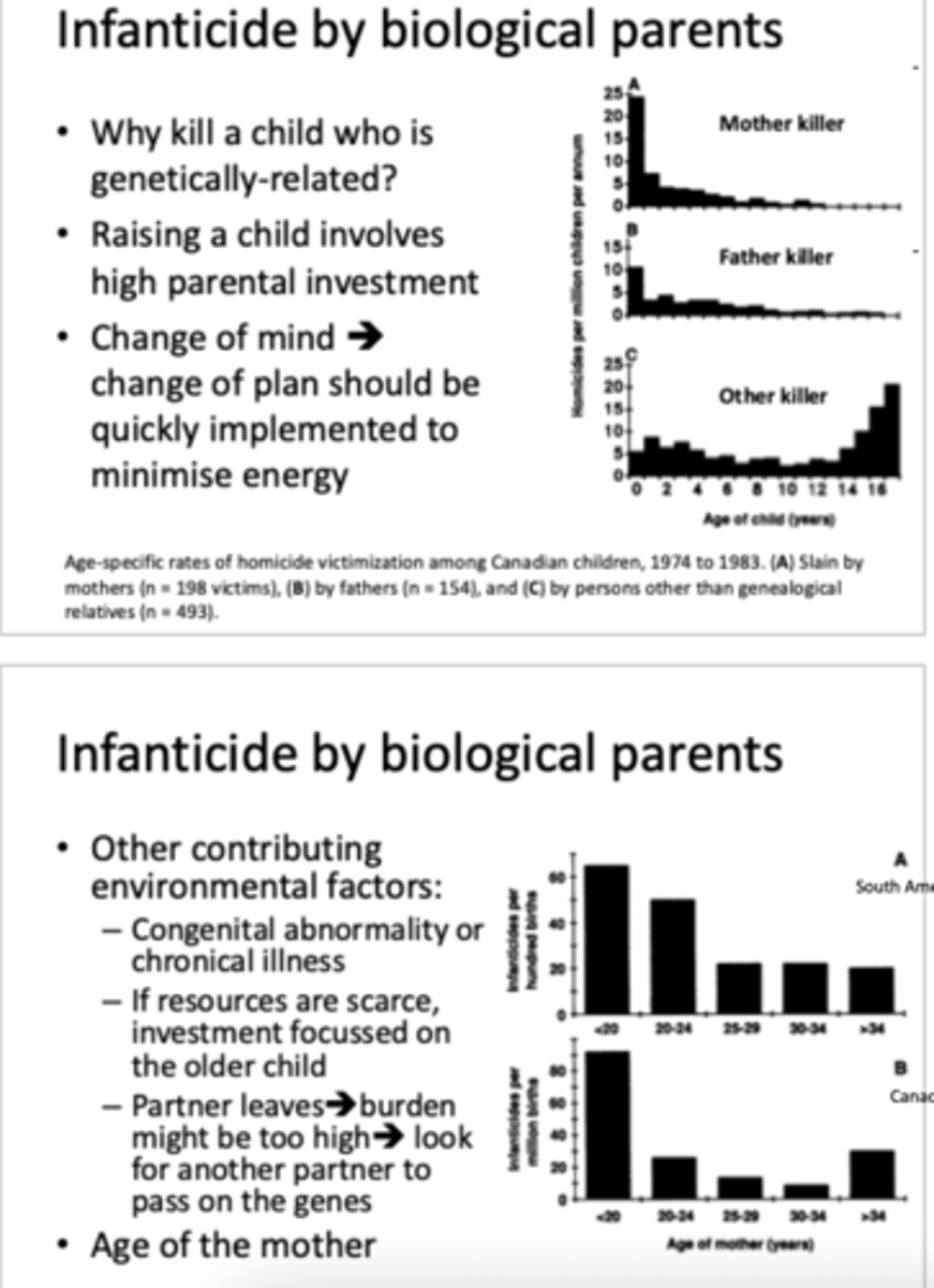 <p>- raising a child involves high parental investment</p><p>- if a change in mind= implement quickly to minimise energy</p><p>- parent killer more likely in younger years but as child gets older, more energy and investment and less time with parents= other killer</p><p>- other contributing environmental factors= congenital abnormality/chronic illness, partner leaves, age of mother, scarce resources</p>