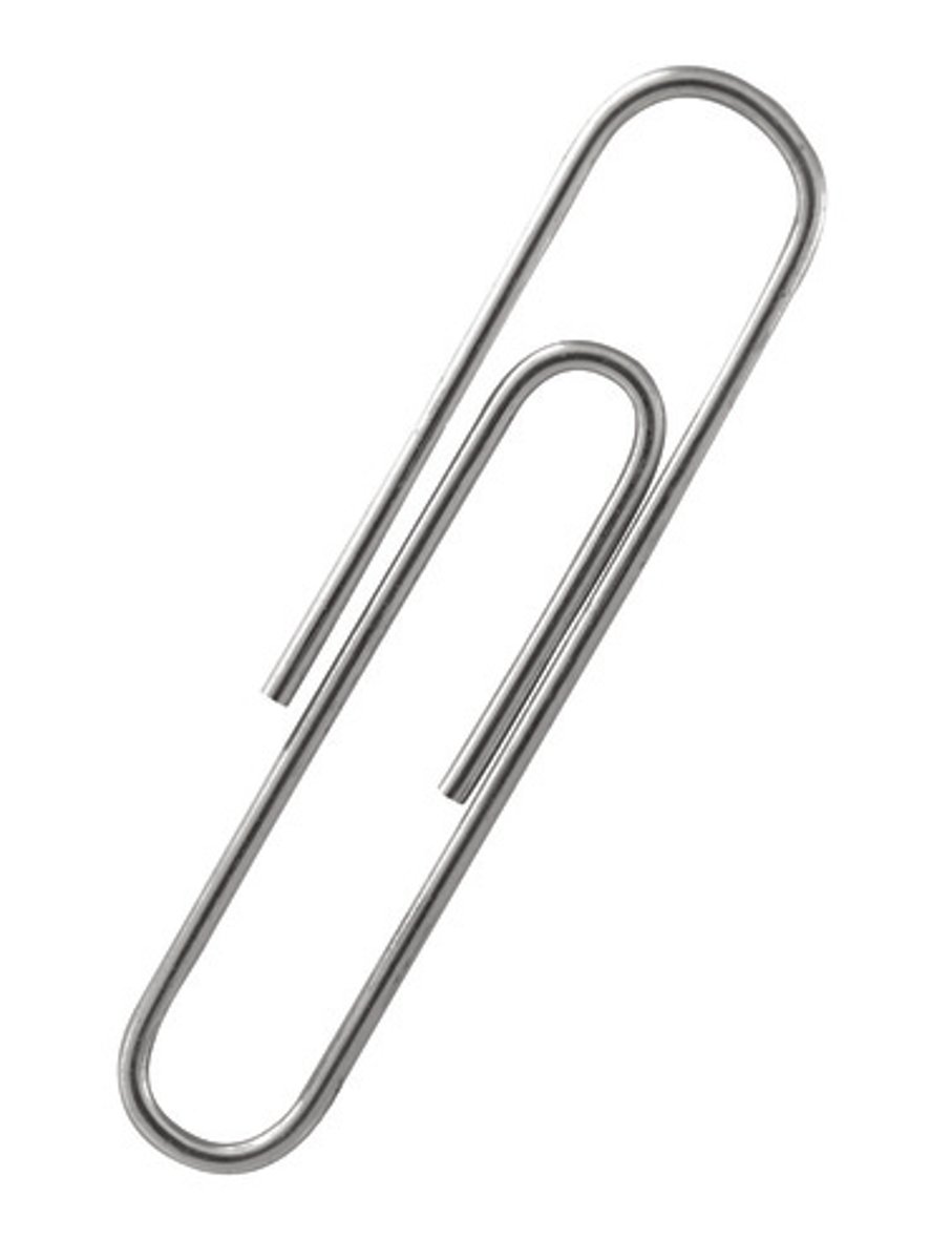 <p>paper clip</p>