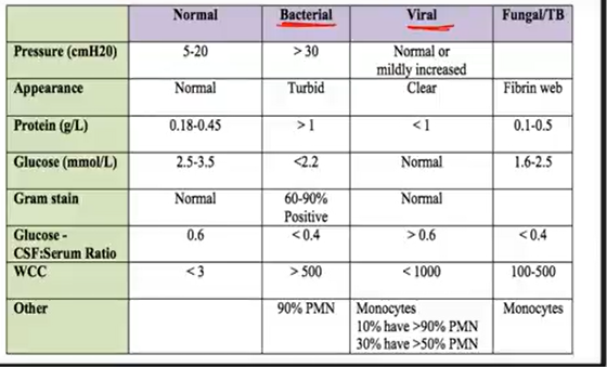 <p>Inflammation of meninges; stiff neck</p><ul><li><p>Bacterial: Meningococci/pneumococci → CSF or Resp infection (sinusitis, otitis media)</p><ul><li><p>s/s: fever, ^HR, chills, petechiae</p><ul><li><p>Nuchal rigidity, HA, photophobia</p></li><li><p>Brudzinski sign: reflex when moving neck above → flexes knees</p></li><li><p>Kerning sign: 90 degree leg elevation → unable to do it from pain</p></li></ul></li><li><p>Check CSF: Turbid appearance, >1 protein; <2.2 glucose</p></li><li><p>t/x: ANAs; aseptic treated w/ antivirals/steroids</p><ul><li><p>Vaccination (ppl that live in dorms)</p></li></ul></li></ul></li><li><p>virus</p><ul><li><p>Clear appearance; <1 protein; normal glucose</p></li></ul></li><li><p>fungi, parasites, toxins</p></li></ul><p></p>