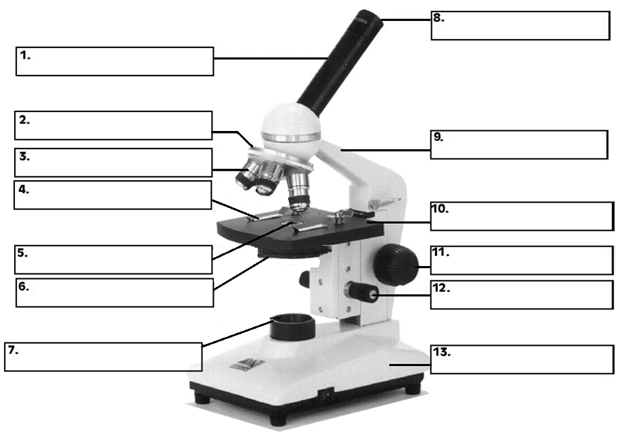 <p>eyepiece</p>