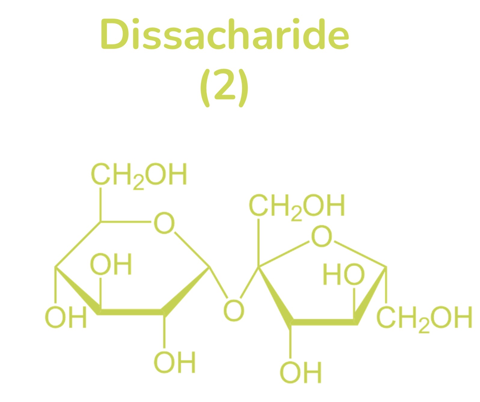 <p><strong>Examples of Carbohydrate dissacharide</strong></p>
