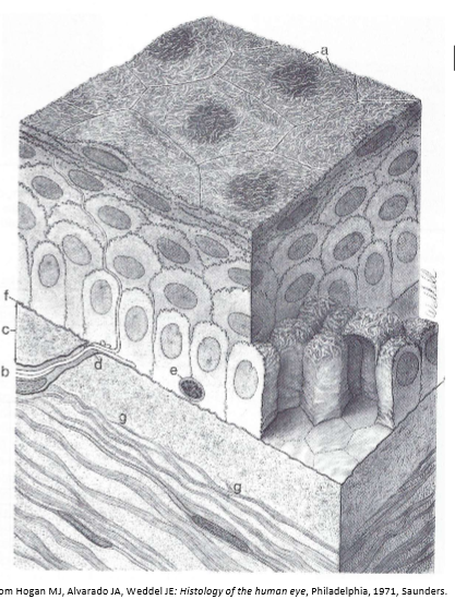 <p>What are these structures?</p>