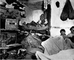 <p>photojournalist who exposed the terrible conditions of New York City tenements in How the Other Half Lives (1890)</p>