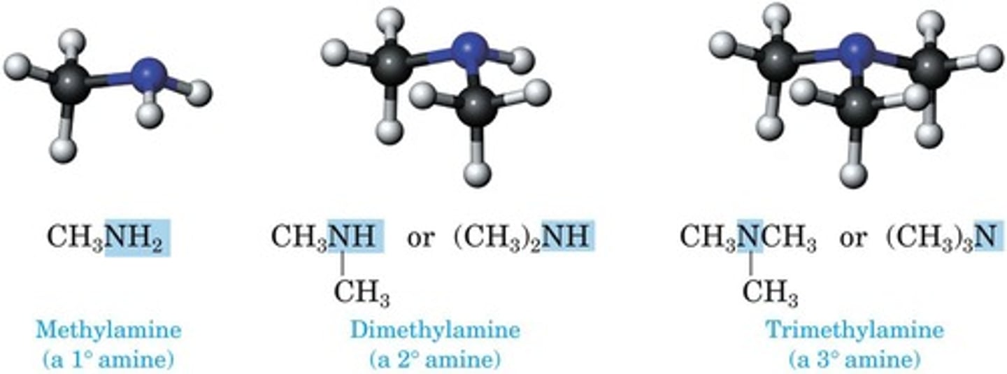 <p>Contains nitrogen atom(s) bonded to carbon.</p>