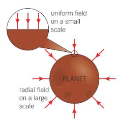 <p>Radial - Field lines directed towards centre of an object</p><p>this occurs on a large scale  </p><p>Uniform - g is the same magnitude and direction, field lines equally spaced an parallel </p><p>occurs on small scale </p>