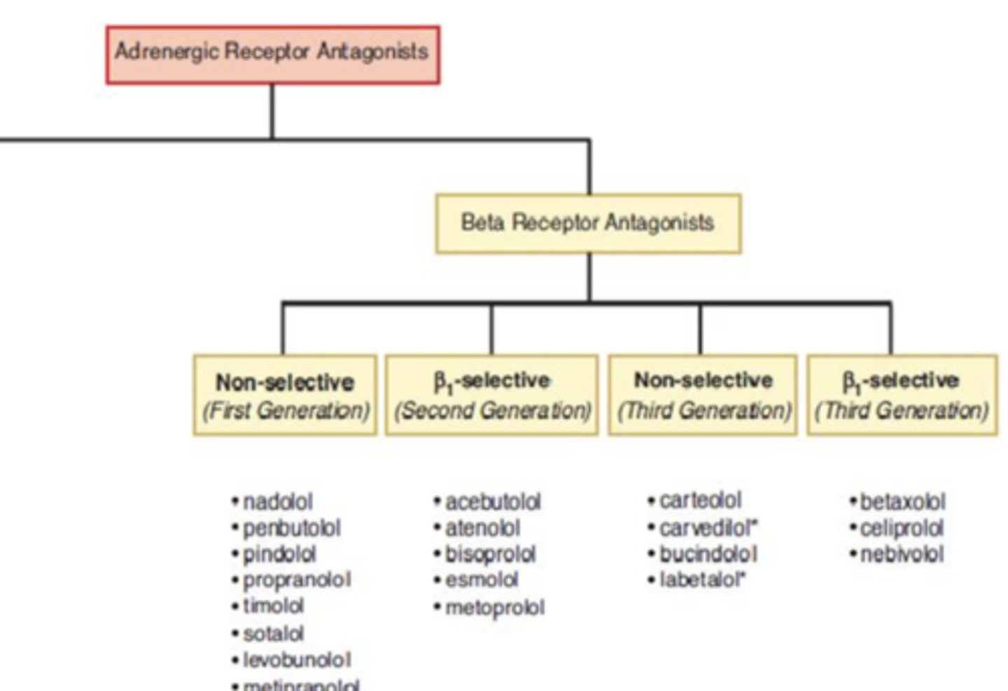 <p>- non-selective 1st gen</p><p>- β1-selective 2nd gen</p><p>- non-selective 3rd gen</p><p>- β1 selective 3rd gen</p><p>β1 targeted for heart and β2 for pulmonary issues</p>