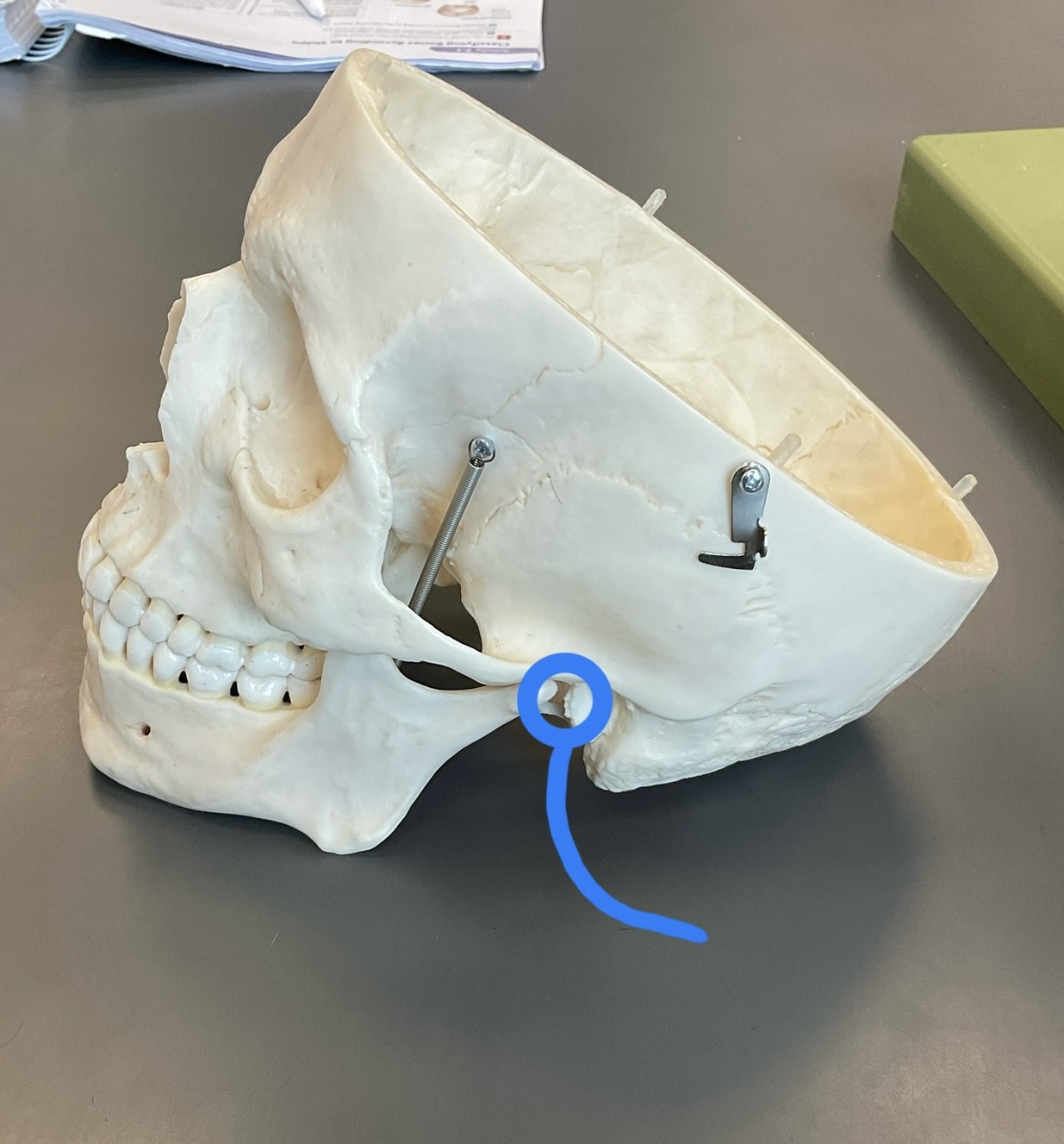 <p>what is this? </p>