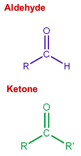 <p>non-terminal carbon </p>