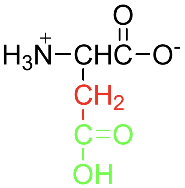 <p>Name, Type (A/N/B), Polarity</p>