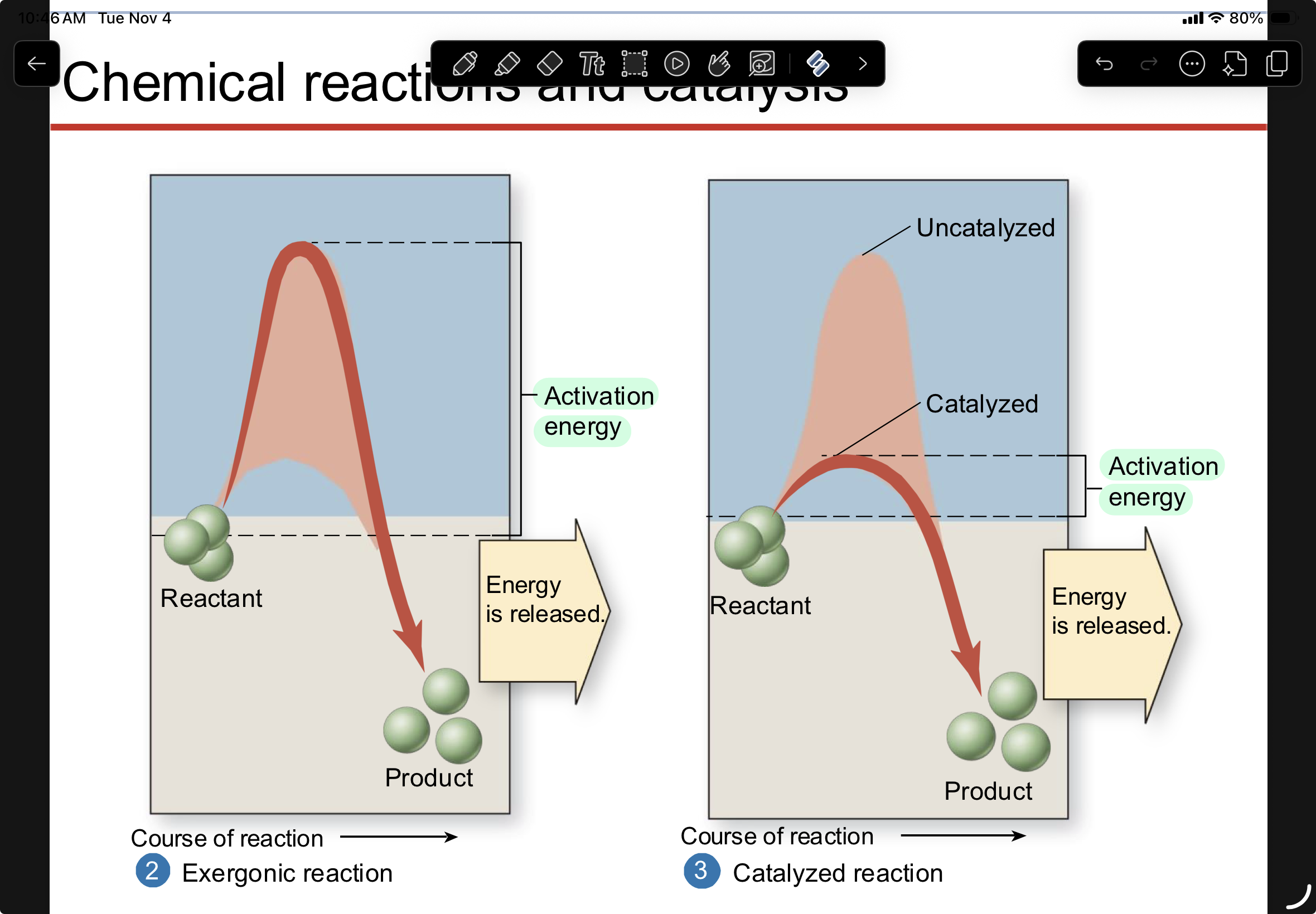 knowt flashcard image