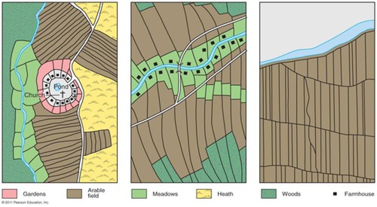 <p>a pattern of rural settlement in which the houses and farm buildings of each family are situated close to each others' fields</p>