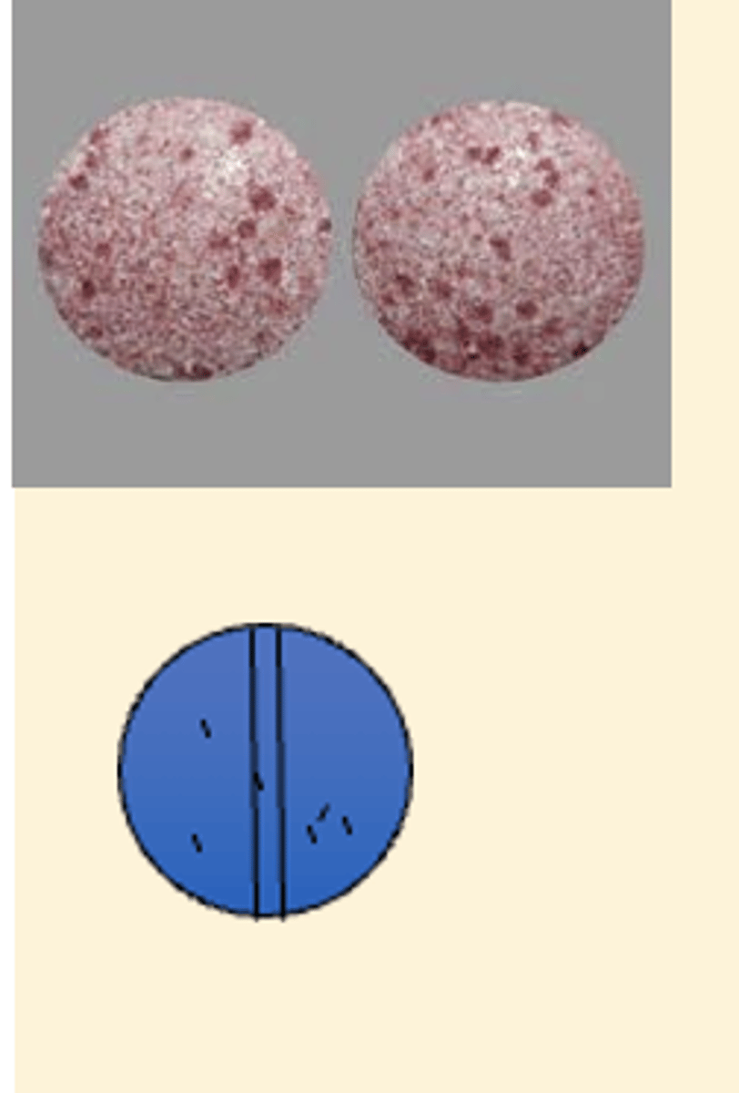 <p>Uneven distribution of color or pigmentation on the coating</p>