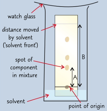 <ul><li><p>draw pencil line and add concentrated spot</p></li><li><p>place in beaker with solvent below pencil line, ass watch glass above to stop evaporation</p></li><li><p>substances move up with solvent separating out</p></li><li><p>remove paper and mark solvent front</p></li><li><p>identify positions of amino acids by spraying ninhydrin solution (purple) or dipping paper in a jar with iodine crystals (brown), circle spots</p></li><li><p>calculate Rf values</p></li></ul>