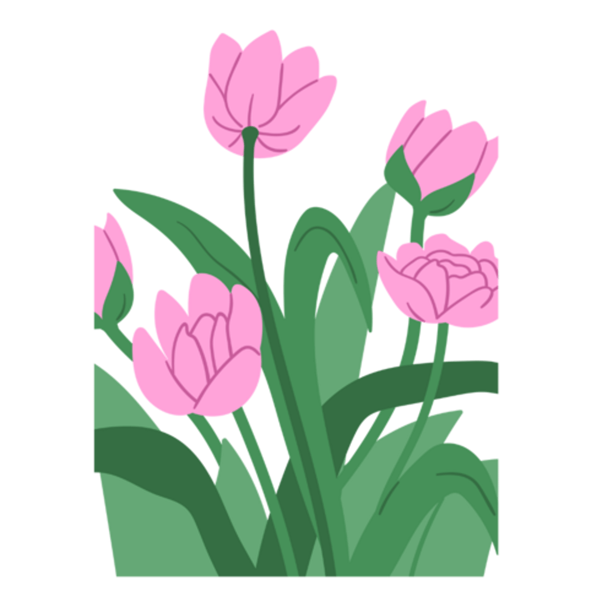 <p>spring plants with a large, brightly coloured, bell-shaped flower.</p><p>She gave her mum beautiful ___________________.</p>