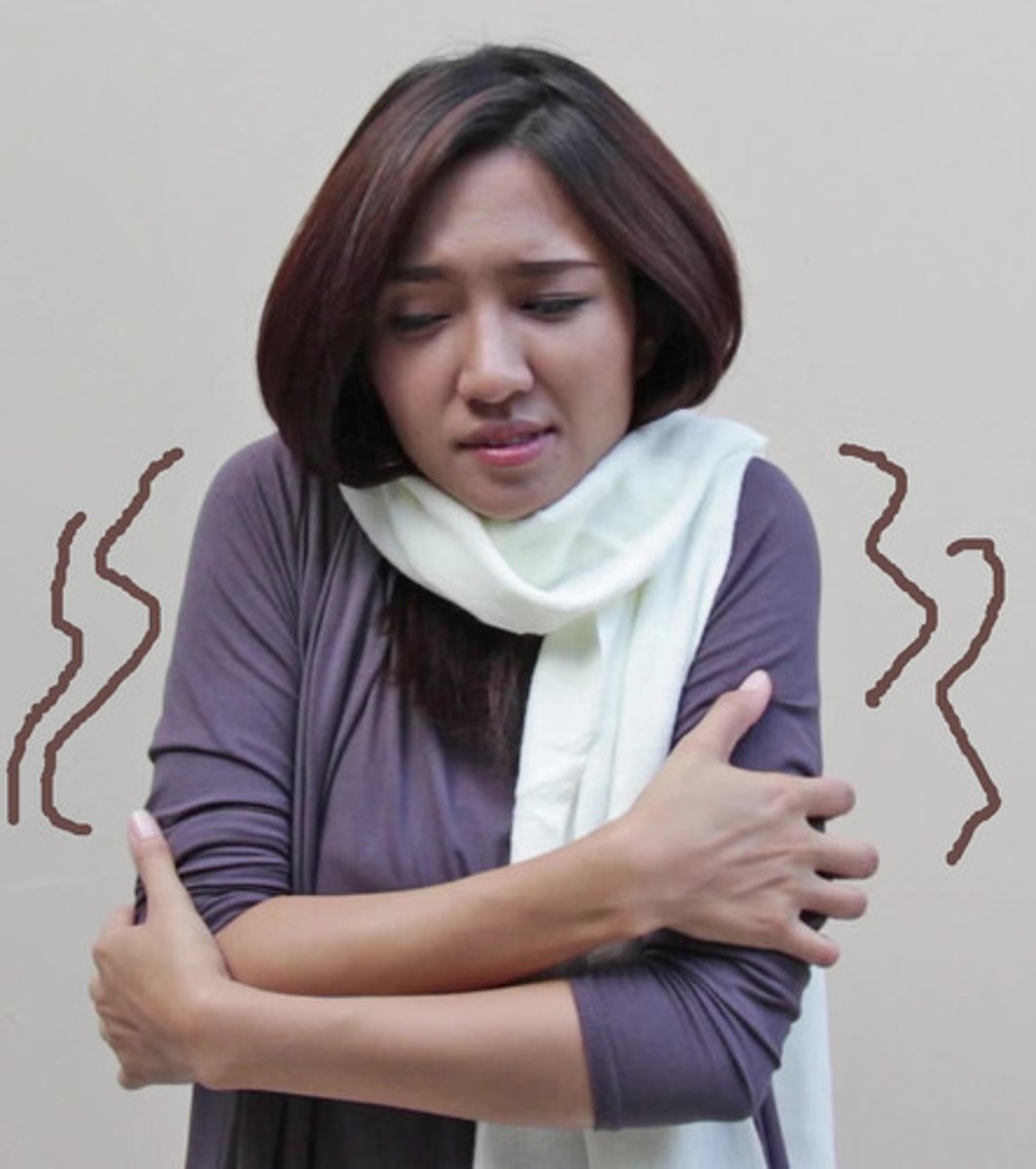 <p>to have chills / shiver</p>