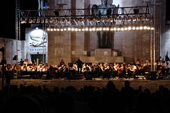 <p>the orchestra</p>