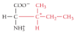 <p>What is the name of the amino acid?</p>