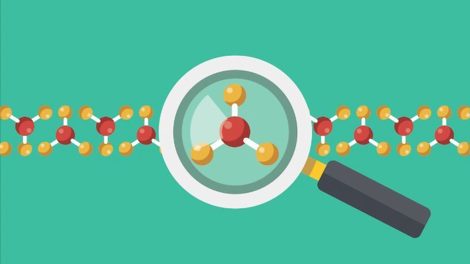 <p>(verb)</p><p>To determine the content or quality of something</p><p>Word Associations: Evaluation and Examination</p>