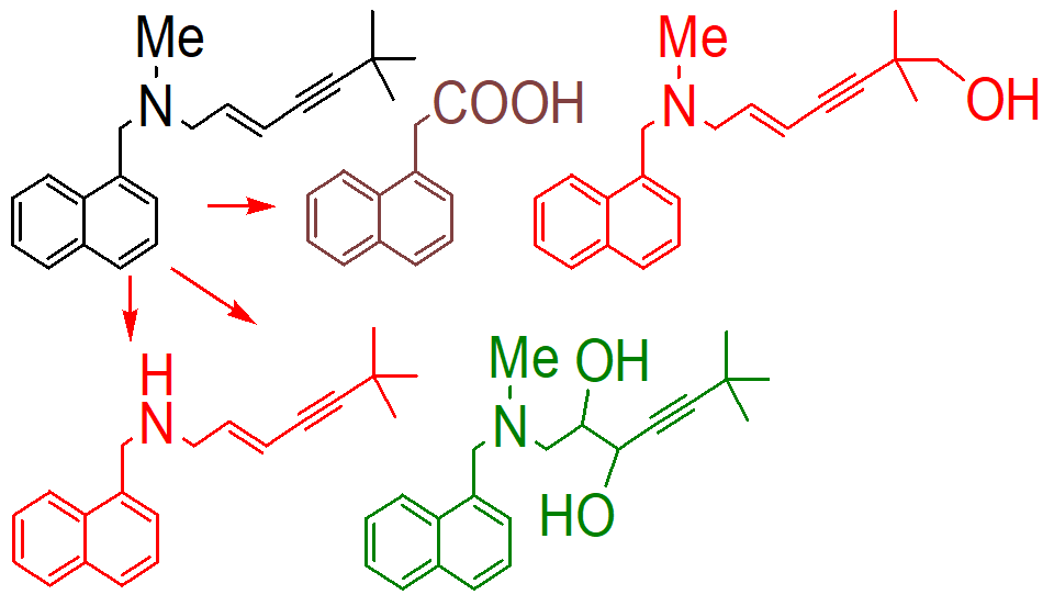 <ol><li><p>N dealkylation</p></li><li><p>oxidative d alination</p></li><li><p>hydroxination</p></li></ol><p></p>