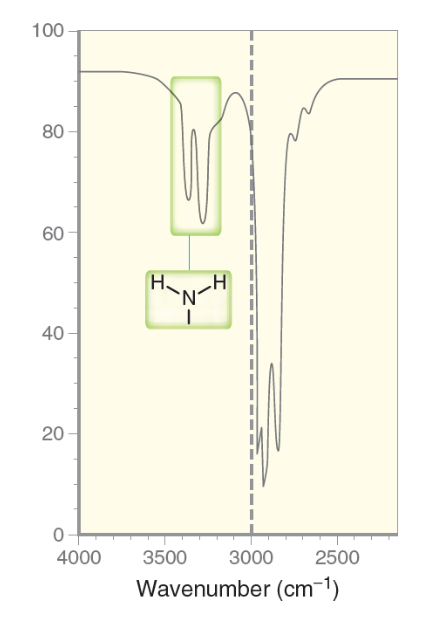<p>Will typically demonstrate a broad but moderate strength signal between the 3350 to 3500 range, with TWO distinct sharp spikes.</p><ul><li><p>Primary amines have TWO hydrogen atoms bound to the nitrogen atom, thus show TWO sharp spikes. </p></li></ul><p></p>