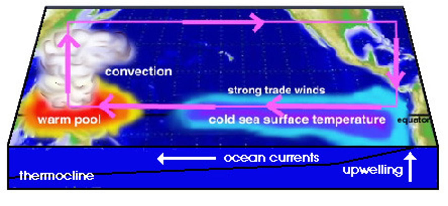 <p>A climate event in the eastern Pacific Ocean in which surface waters are colder than normal.</p>