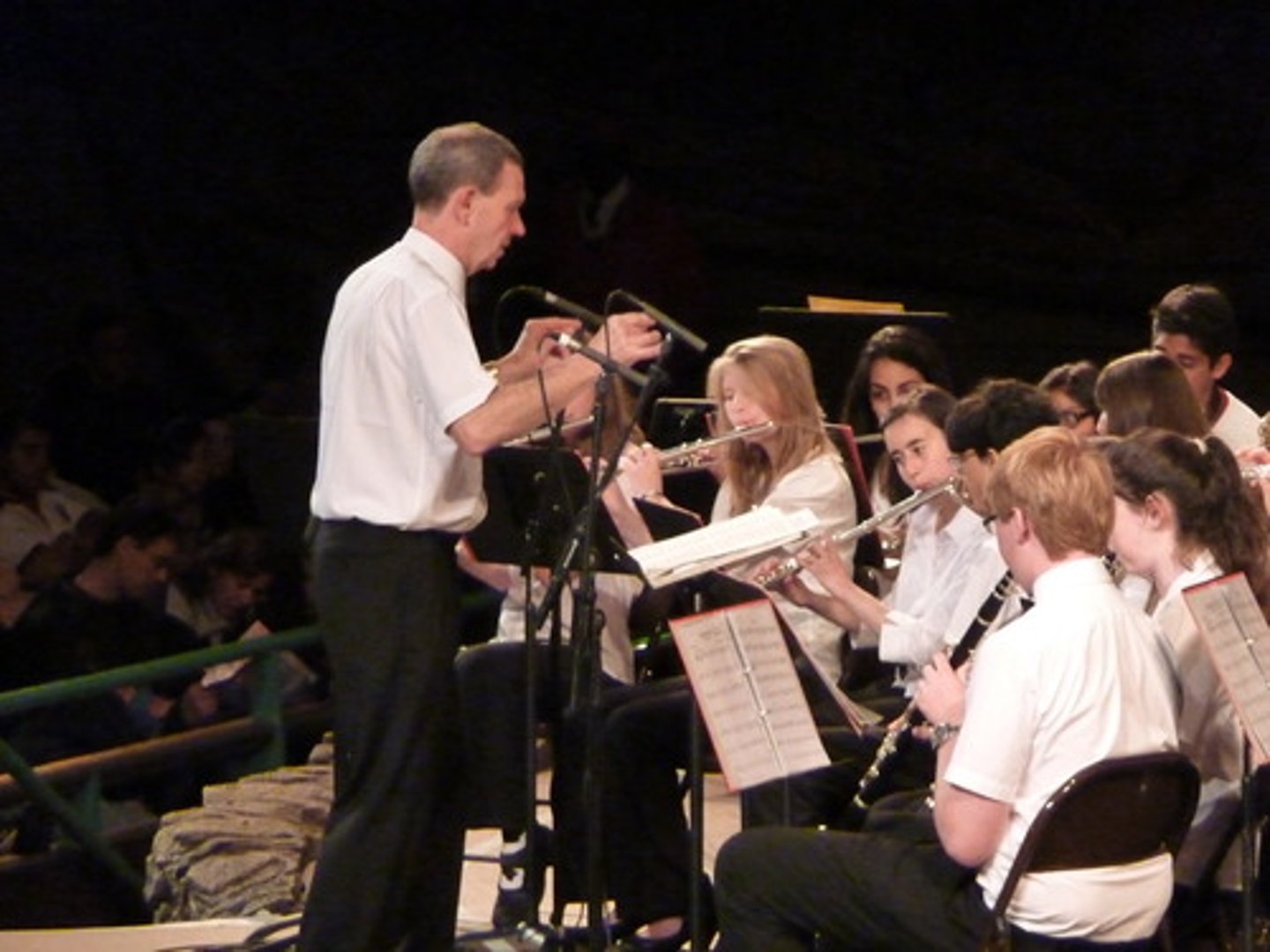 <p>orchestra</p>