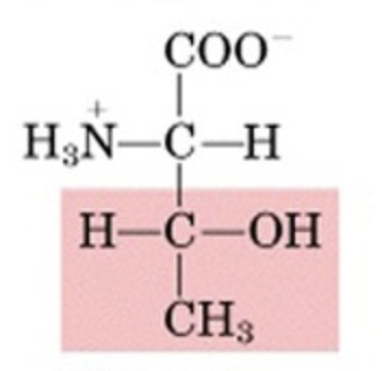 <p>What’s this aminoacid?</p>