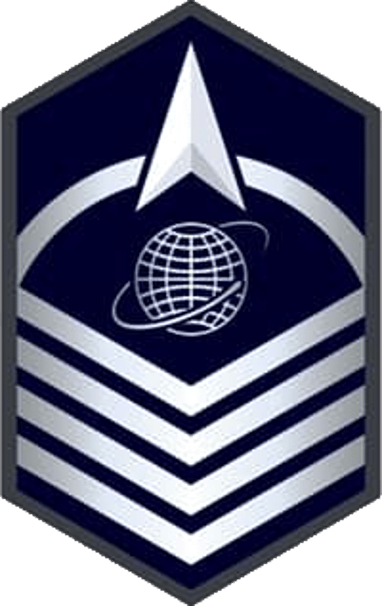 <p>Master Sergeant</p>