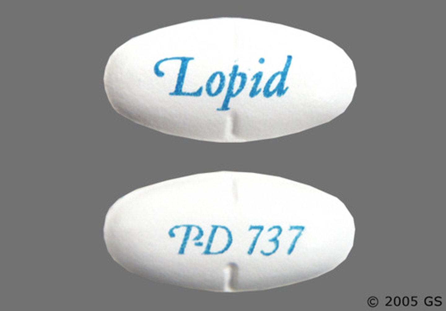 <p>Brand: Lopid</p><p>Class: Fibrate Derivative</p><p>Indication: Cholesterol Lowering</p><p>Schedule: NCLM</p>