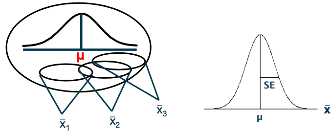 <ul><li><p>sample means</p></li></ul><p></p>