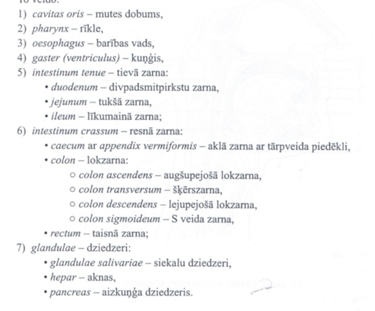 <p>cavitas oris</p><p>pharynx</p><p>oesophagus</p><p>gastrer</p><p>intestinum tenue</p><p>intestinum crassum</p><p>glandulae</p>