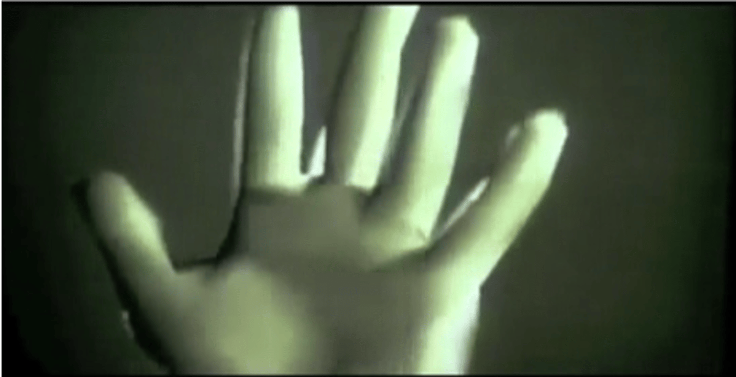 <p>Ed Catmull and Fred Parke produced this short, one of the first examples of computer animation</p><p>Catmull animated an early computer model of his own hand</p><p>Park contributed facial animation</p><p>The film was a course project when the two were graduate students at the University of Utah</p>
