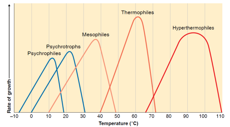 <p>certain bacteria are capable of growing at extremes of temperature that would certainly hinder the survival of almost all eukaryotic organisms</p><p></p>