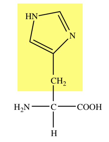 IMIDAZOLE RING