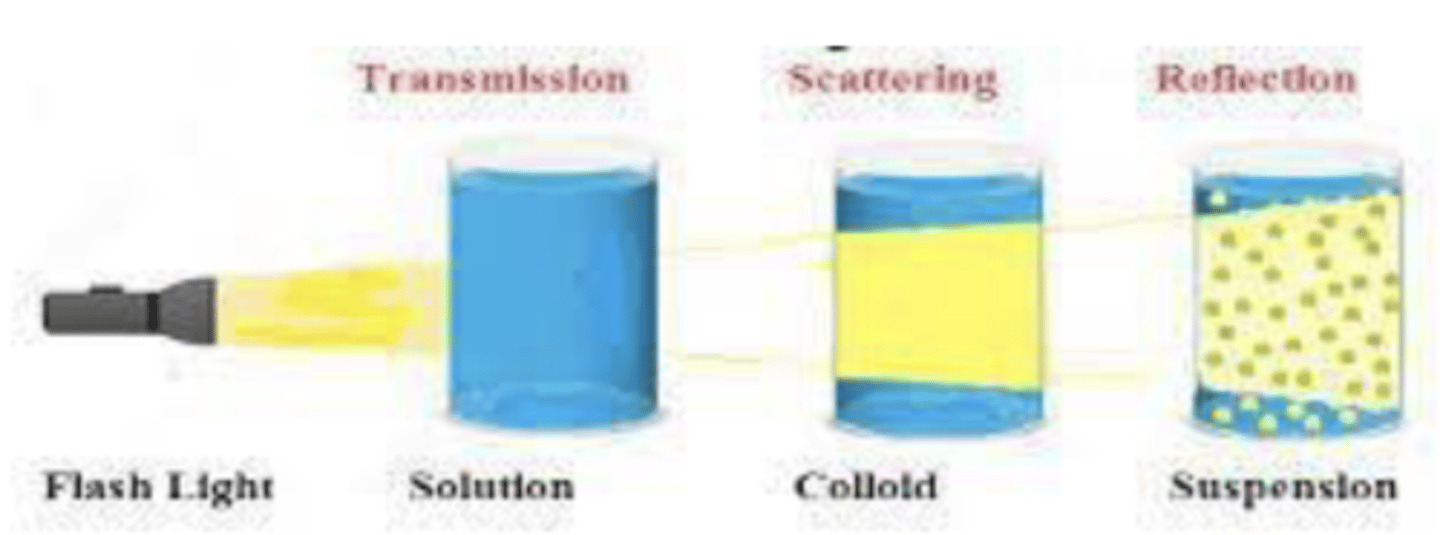 <p>▪ homogeneous mixture (under a microscope, are hetero)</p><p>▪ solute does not settle out on standing</p><p>▪ particles are too small to be seen by naked eyes</p><p>▪ Colloids can be distinguished from solutions as they exhibit light scattering</p><p>▪ Can be solid, liquid or gas.</p>