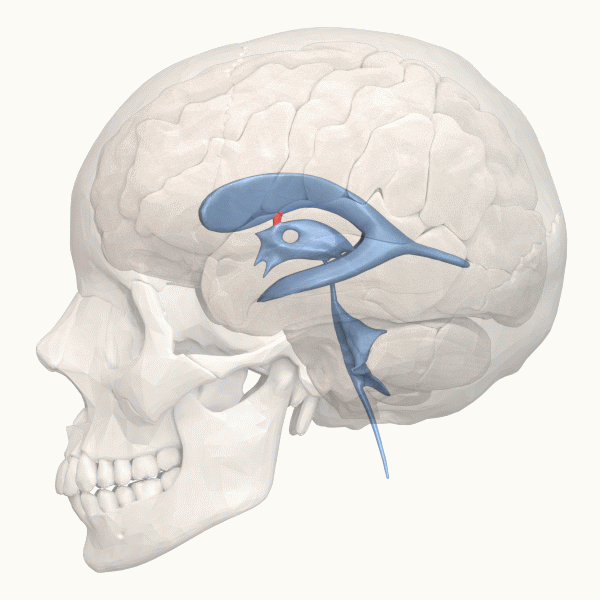 <p>What is this?</p>