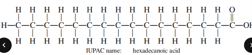<p>Common name of Hexadecanoic acid</p>