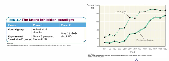 <p>model moeite mee heeft</p><p>controle groep : </p><p>experimentele groep : dier ook in ruimte, stimulus ook aangeboden maar geen US </p><p></p><p>leerfase 2</p><p>exp groep :: veel trager </p><p></p><p>in beide gevallen zou je op 0 moeten beginnen, maar dat blijkt niet zo, lijkt alsof die ex groep wel associatieve toon met niks = duurt langer om dat eruit te halen, vorige geheugenspoor weg duwen</p><p>Vertraging in associatief leren door eerdere blootstelling aan CS</p>