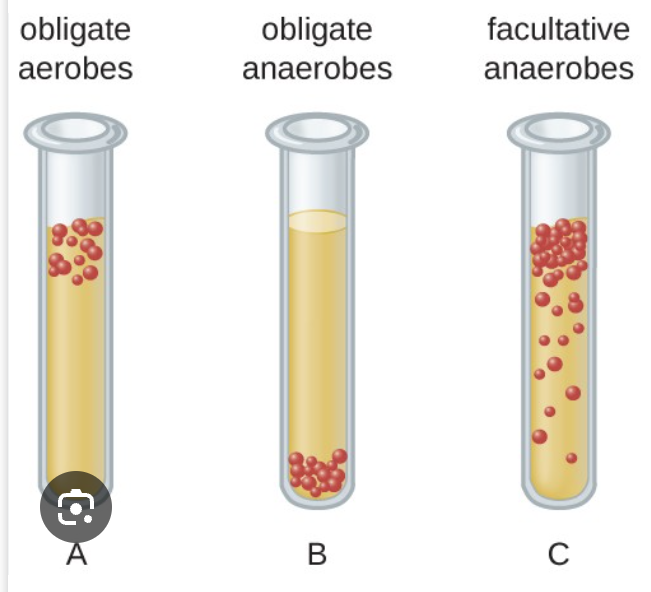 <p>Explain what is occurring in this image and refer to the answer in the previous slide. </p>