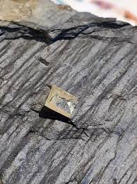 <p>Small cubes of pyrite (iron sulphide)</p>