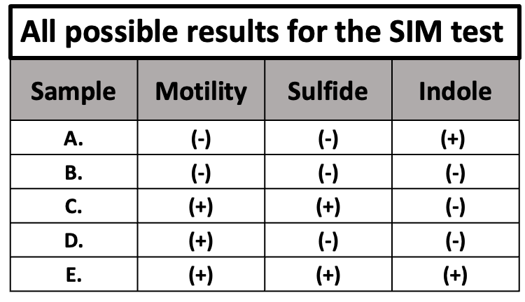 <p>SIM</p>