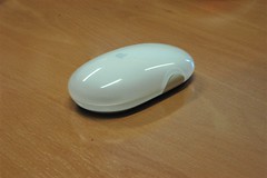 <p>mouse</p>